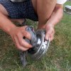 JaguarE